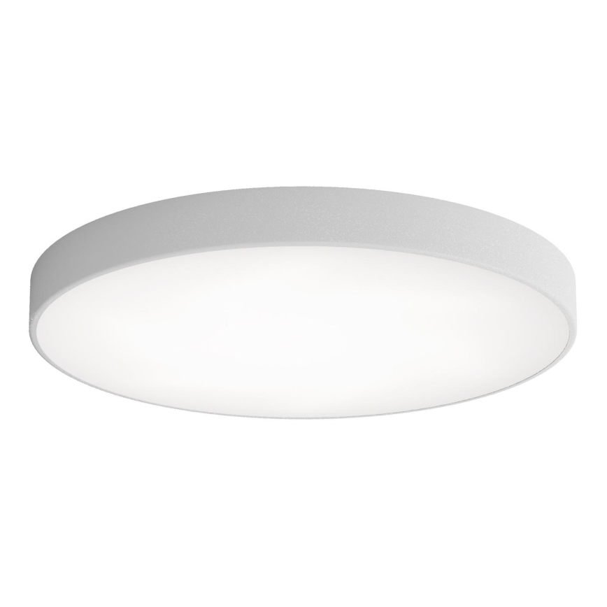 LED Mennyezeti lámpa CLEO LED/96W/230V 4000K átm. 80 cm szürke