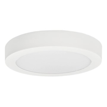 LED Mennyezeti lámpa FENIX LED/12W/230V 3800K átm. 17 cm hó fehér