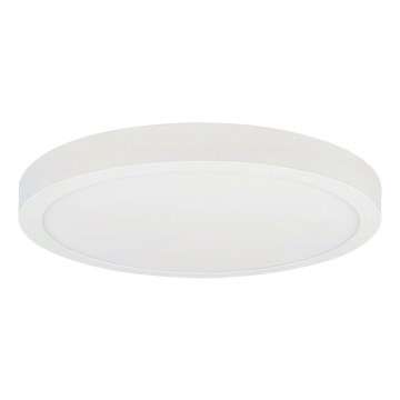 LED Mennyezeti lámpa FENIX LED/32W/230V 3800K átm. 40 cm hó fehér