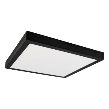 LED Mennyezeti lámpa FENIX LED/32W/230V 3800K