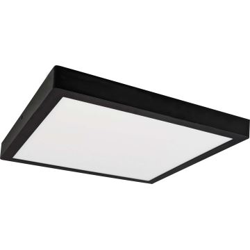 LED Mennyezeti lámpa FENIX LED/32W/230V 3800K