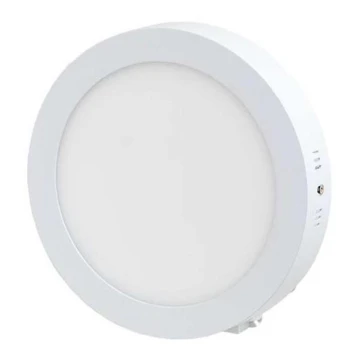 LED Mennyezeti lámpa LED/12W/230V