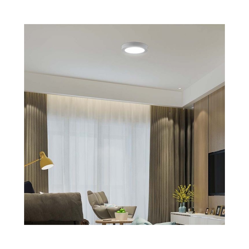 LED Mennyezeti lámpa LED/6W/230V 6500K fehér