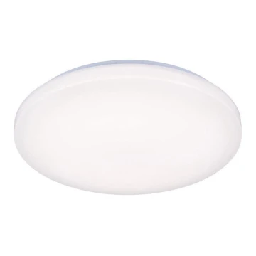 LED Mennyezeti lámpa OPAL LED/50W/176-264V