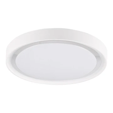LED Mennyezeti lámpa PERSE LED/15W/230V fehér