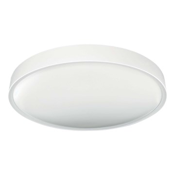 LED Mennyezeti lámpa SAMER LED/40W/230V 4000K