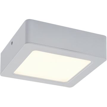 LED Mennyezeti lámpa LED/12W/230V 14,5 cm