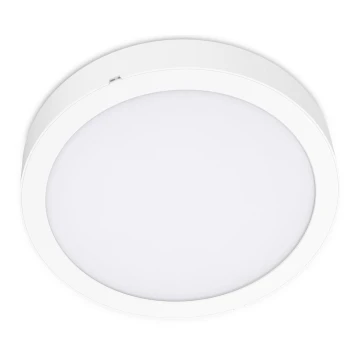 LED Mennyezeti lámpa SIGARO CIRCLE LED/18W/230V 4000K IP40