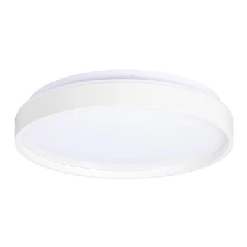 LED Mennyezeti lámpa TEXAS LED/15W/230V fehér
