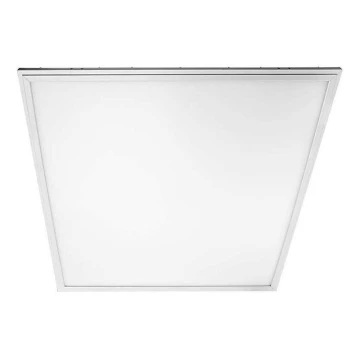 LED Panel 2in1 LED/40W/230V 4000K 60x60 cm