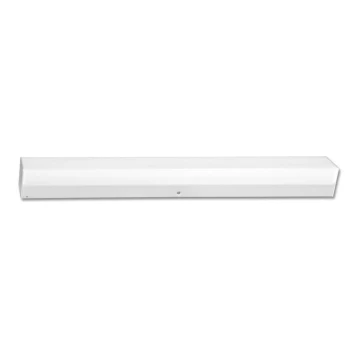 LED Pultmegvilágító ALBA LED/30W/230V IP44