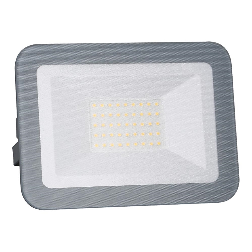 LED Reflektor LED/30W/230V IP65