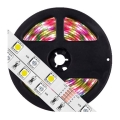 LED RGB Szabályozható szalag 5m LED/19W/12V IP65