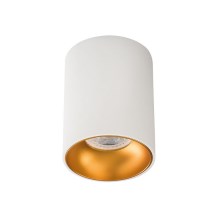 LED Spotlámpa RITI 1xGU10/10W/230V fehér/arany