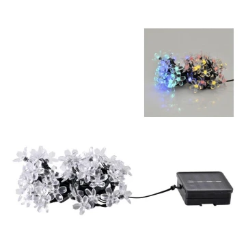 LED Szolár lánc FLOWER 50xLED/1,2V IP44