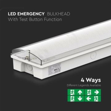 LED Vészvilágítás EMERGENCY EXIT LED/3W/230V 6400K IP65