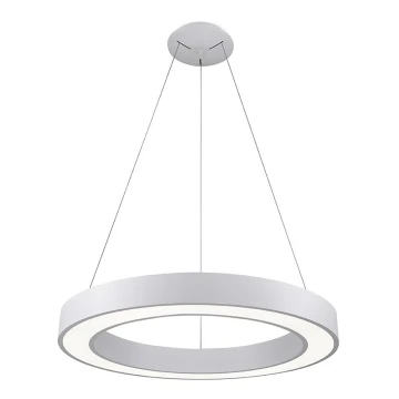 LED2 - LED Dimmelhető csillár zsinóron SATURN LED/50W/230V 3000K/4000K fehér