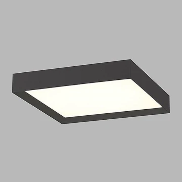 LED2 - LED Mennyezeti lámpa MILO LED/60W/230V 3000/4000K