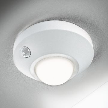 Ledvance - LED éjjeli fény érzékelős NIGHTLUX LED/1,7W/3xAA 4000K