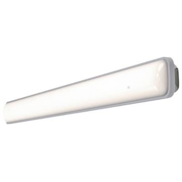 Ledvance - LED Műszaki lámpa SUBMARINE LED/18W/230V IP65