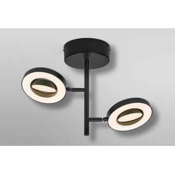 Ledvance - LED Spotlámpa DECOR SATURN 2xLED/11W/230V 3000/4200/6500K