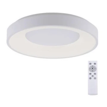 Leuchten Direkt 14326-16 - LED fényerő-szabályzó ANIKA LED/30W/230V + RC+távirányító