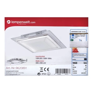 Lindby - LED Mennyezeti lámpa ALESSIO LED/12W/230V