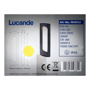 Lucande - LED Kültéri lámpa FENTI LED/12W/230V IP65
