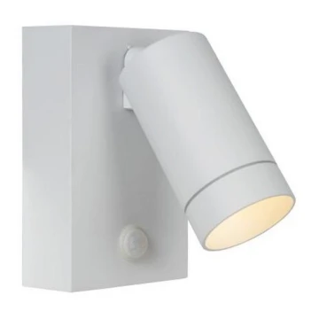 Lucide 09831/01/31 - Dimmelhető kültéri lámpa érzékelővel TAYLOR 1xGU10/50W/230V IP44