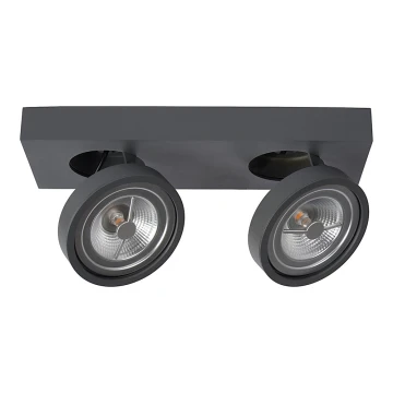 Lucide 09920/20/36 - LED Dimmelhető spotlámpa NENAD AR111 2xG53/10W/230V