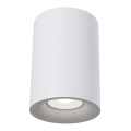 Maytoni C012CL-01W - Spotlámpa SLIM 1xGU10/50W/230V fehér