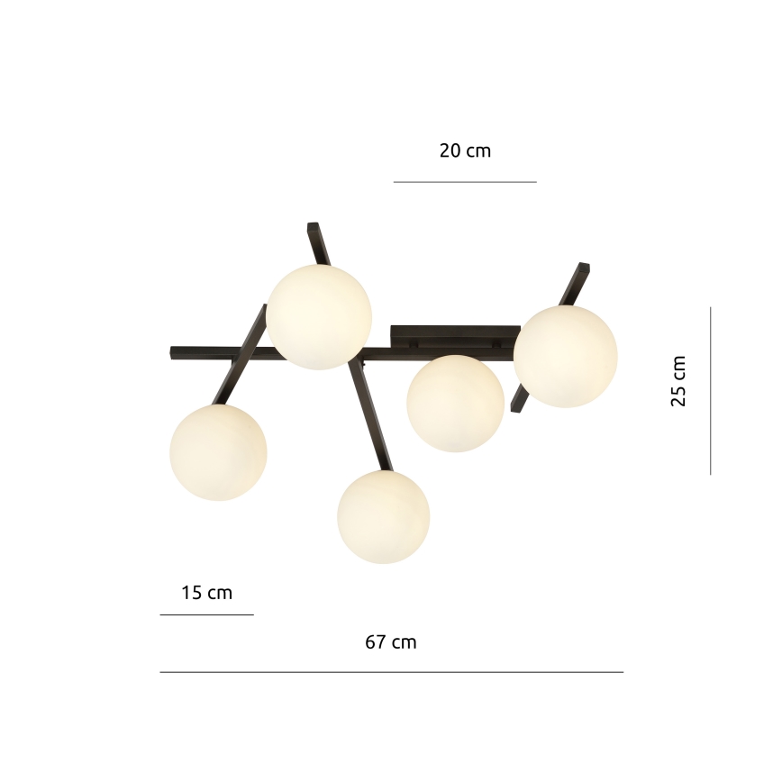 Mennyezeti lámpa SMART 5xE14/10W/230V fekete/fehér