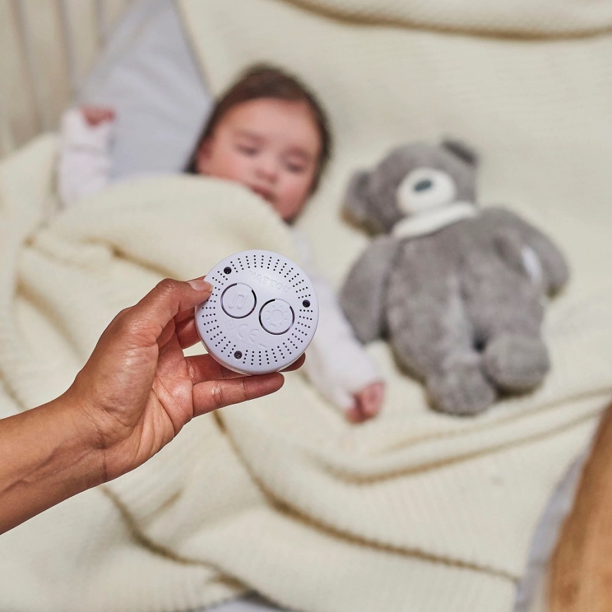 Nattou - Snuggle buddy dallammal és világítással SLEEPY BEAR 4in1 szürke