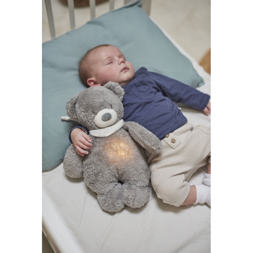 Nattou - Snuggle buddy dallammal és világítással SLEEPY BEAR 4in1 szürke