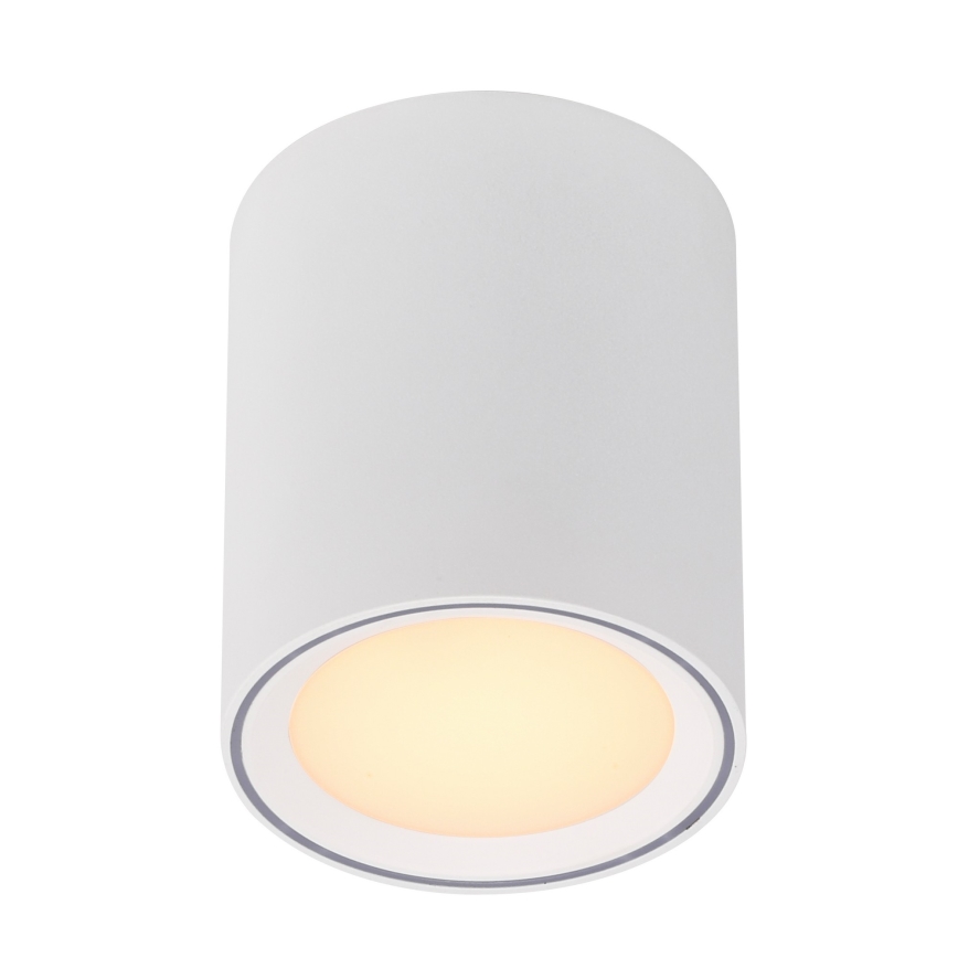 Nordlux - LED Spotlámpa FALLON LONG LED/5,5W/230V fehér