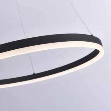 Paul Neuhaus 2383-13 - LED Dimmelhető csillár zsinóron TITUS LED/50W/230V