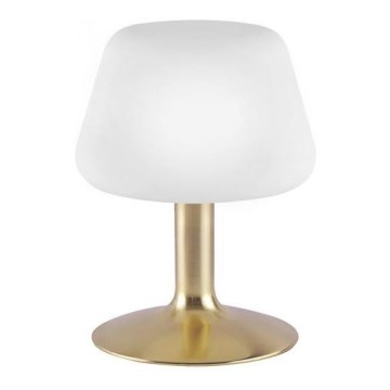 Paul Neuhaus 4078-60 - LED Dimmelhető asztali lámpa TILL 1xG9/3W/230V sárgaréz