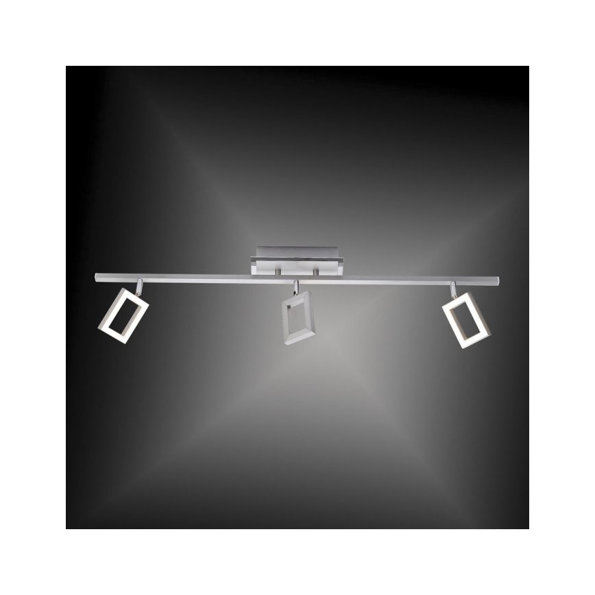 Paul Neuhaus 6959-55 - LED Spotlámpa INIGO 3xLED/4,2W/230V