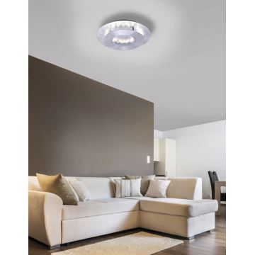 Paul Neuhaus 9011-21 - LED Mennyezeti lámpa NEVIS LED/6W/230V ezüst