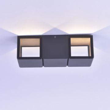 Paul Neuhaus 9658-13 - LED Kültéri fali lámpa MARCEL 2xLED/4W/230V IP54