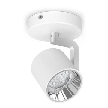 Philips - LED Dimmelhető spotlámpa 1xLED/4.5W/230V