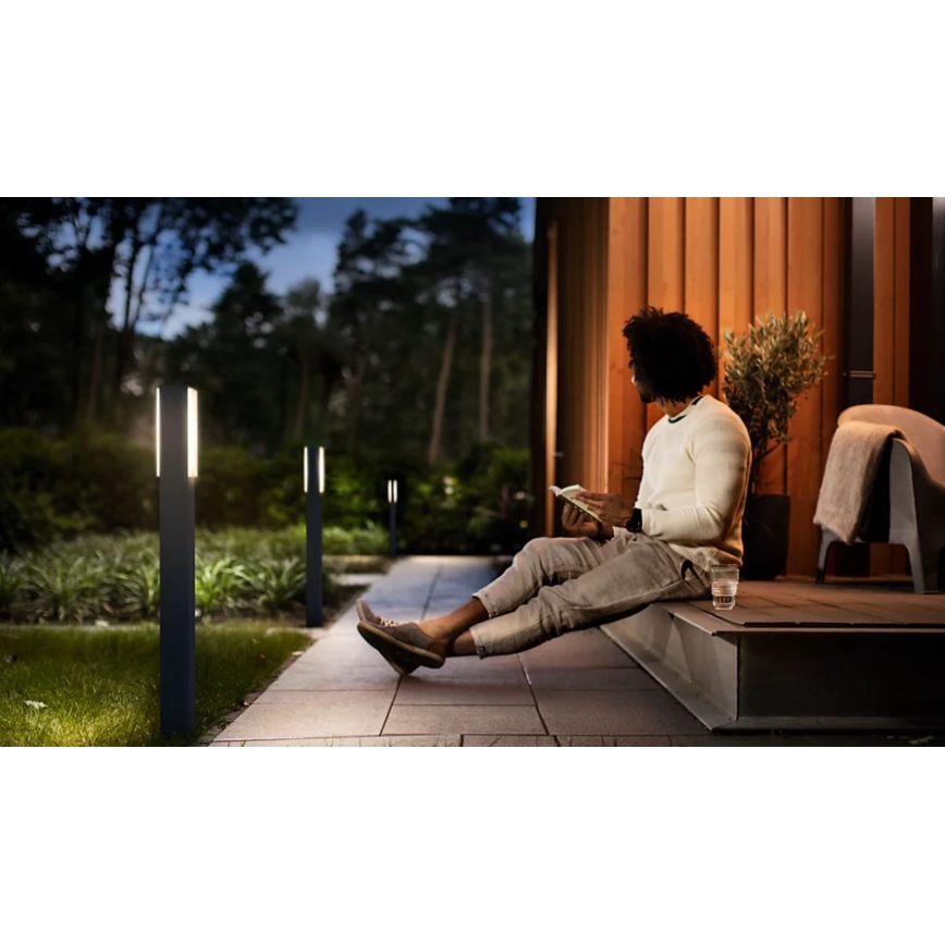 Philips - LED Kültéri lámpa STRATOSPHERE LED/3,8W/230V 77 cm 2700K IP44