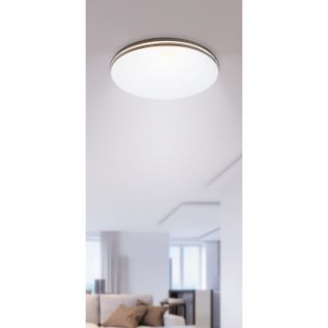 Rabalux - LED Menyezeti lámpa 1xLED/18W/230V