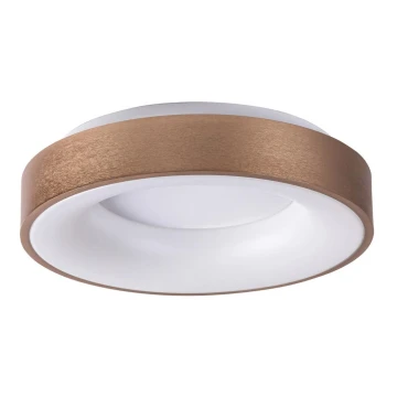 Rabalux 5052 - LED Mennyezeti lámpa CARMELA LED/30W/230V