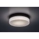 Rabalux - LED Fürdőszobai mennyezeti lámpa LED/15W/230V IP44 4000K átm. 23 cm fekete