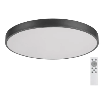 Rabalux - LED Dimmelhető mennyezeti lámpa LED/60W/230V 60 cm + távirányítás