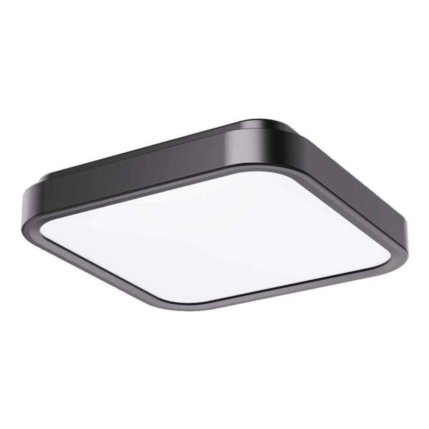 Rabalux - LED Fürdőszobai mennyezeti lámpa LED/18W/230V IP44 4000K 25x25 cm fekete