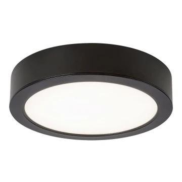 Rabalux - LED Fürdőszobai mennyezeti lámpa LED/24W/230V átm. 22 cm IP44