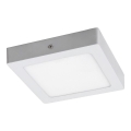 Rabalux - LED Mennyezeti lámpa LED/12W/230V