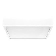 Rabalux - LED Mennyezeti lámpa LED/22W/230V 3000/4000/6000K 21x21 cm fehér